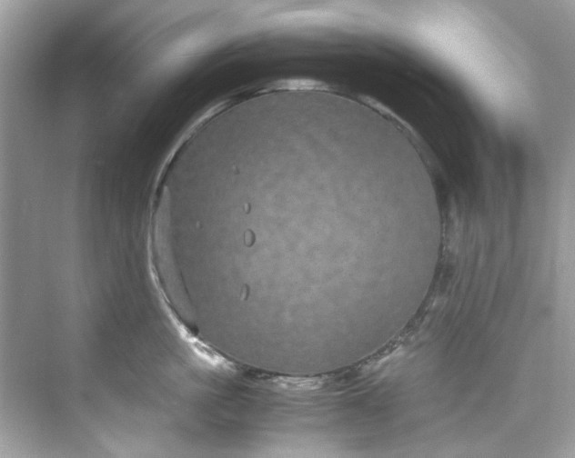 X0000075840861200609291436