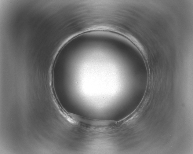 X0000075840862200609291436