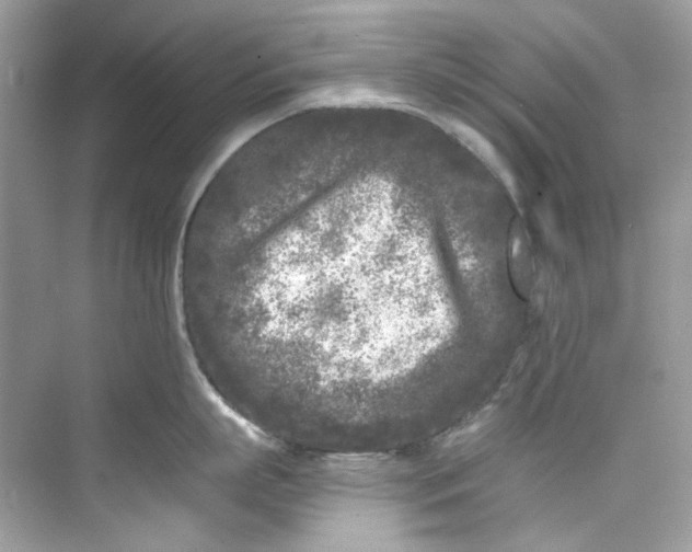 X0000075840863200609291436