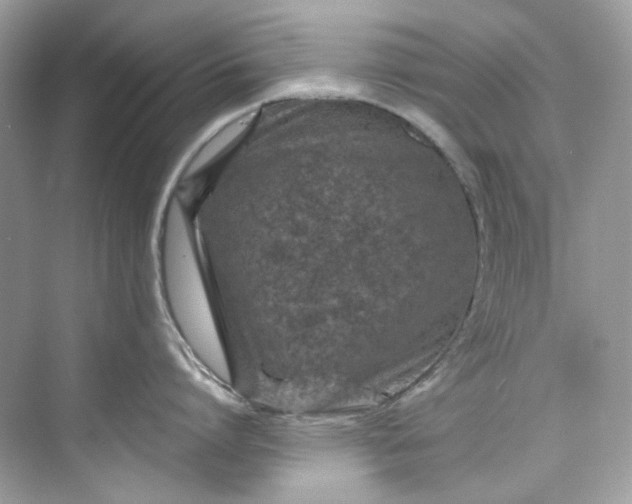 X0000075840864200609291436