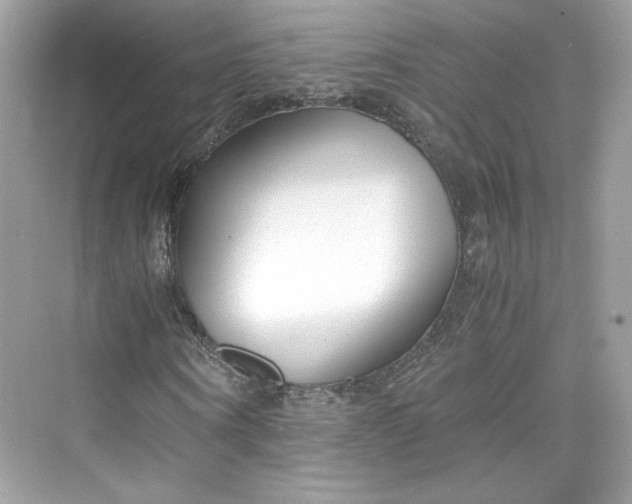 X0000075840866200609291435