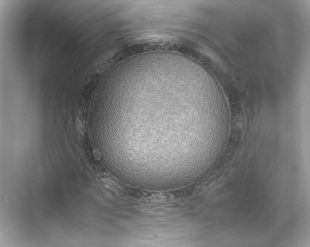 X0000075840869200609291435