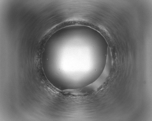 X0000075840872200609291435