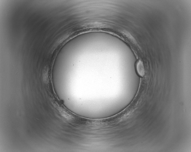 X0000075840873200609291435