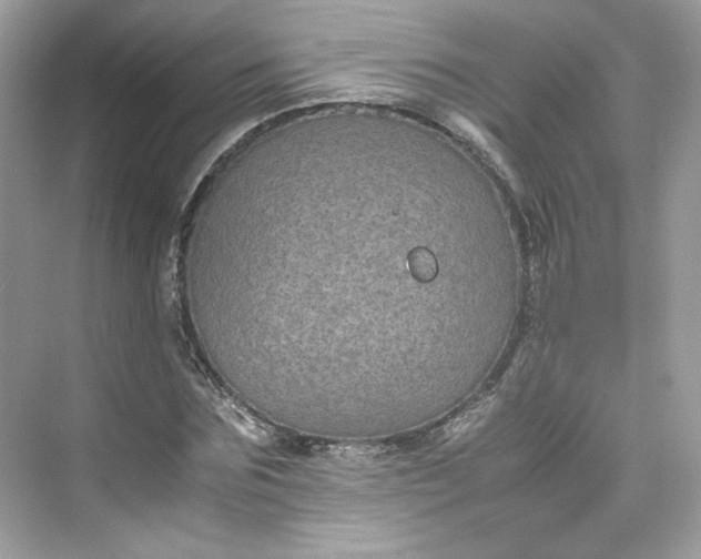 X0000075840875200609291435