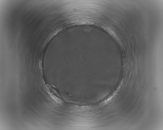 X0000075840881200609291435