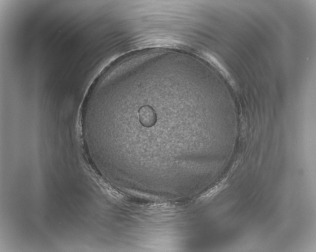 X0000075840883200609291435