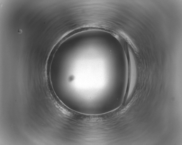 X0000075840884200609291435