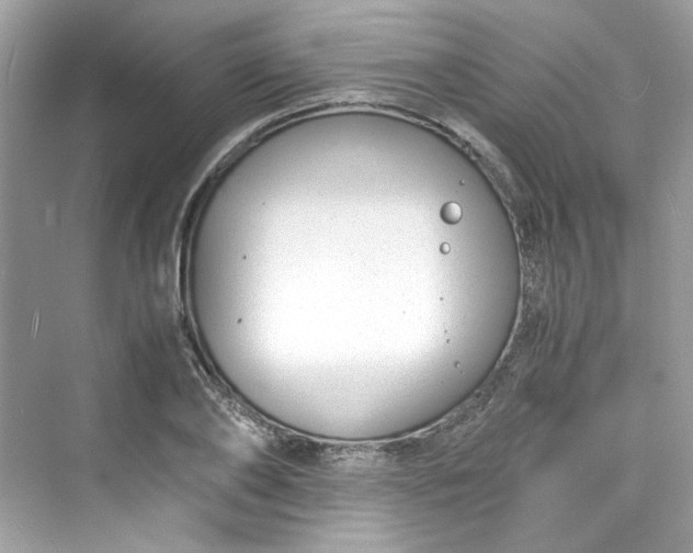 X0000075840886200609291435