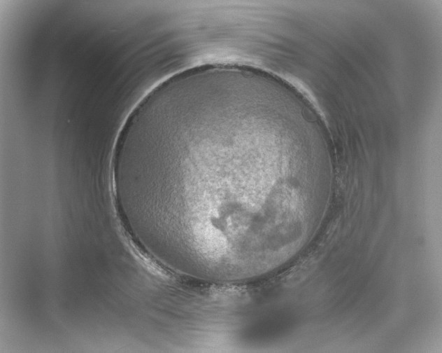 X0000075840887200609291435