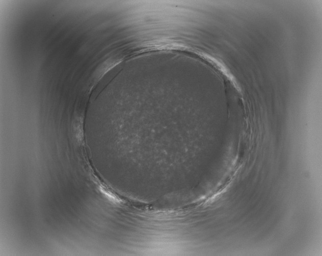 X0000075840889200609291435