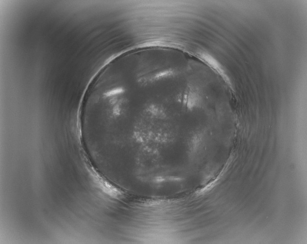 X0000075840892200609291435