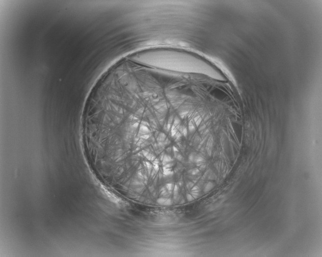 X0000075840895200609291435