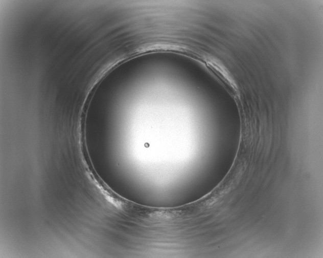 X0000075840898200609291435