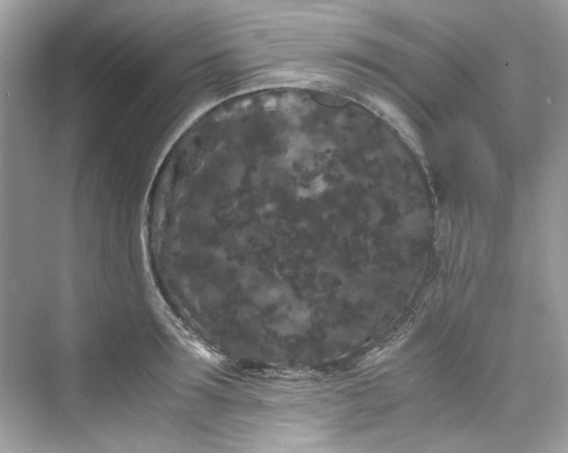 X0000075840899200609291435