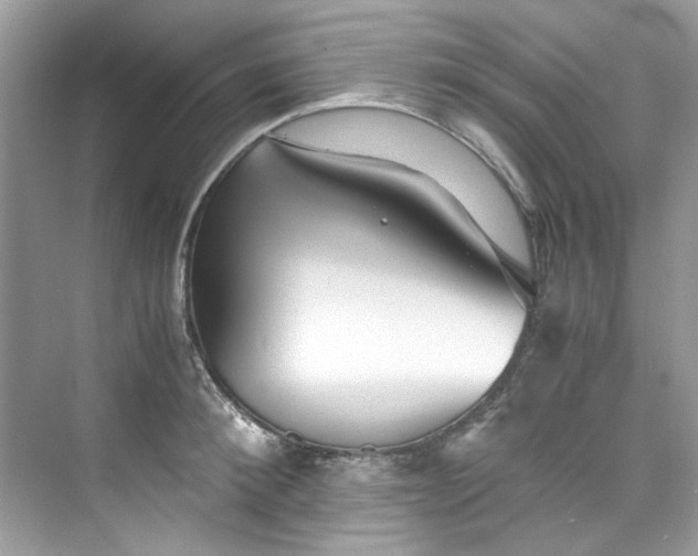 X0000075840900200609291435