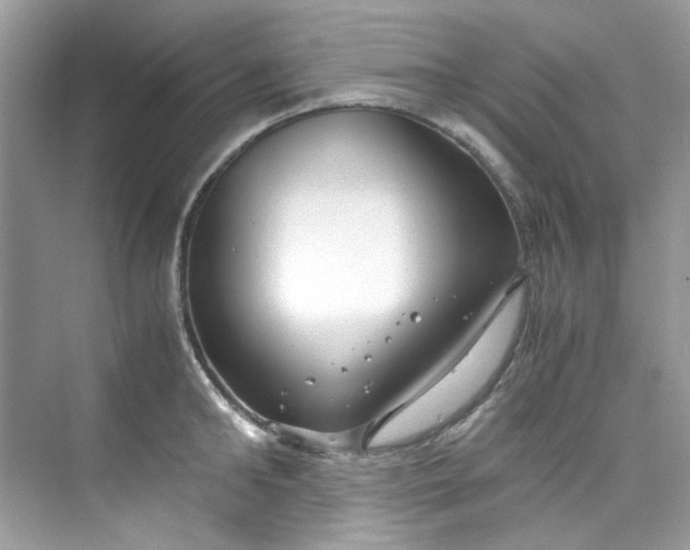 X0000075840902200609291434