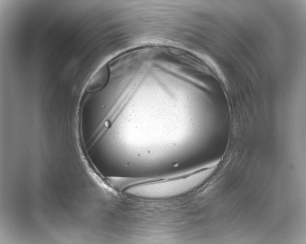 X0000075840903200609291434