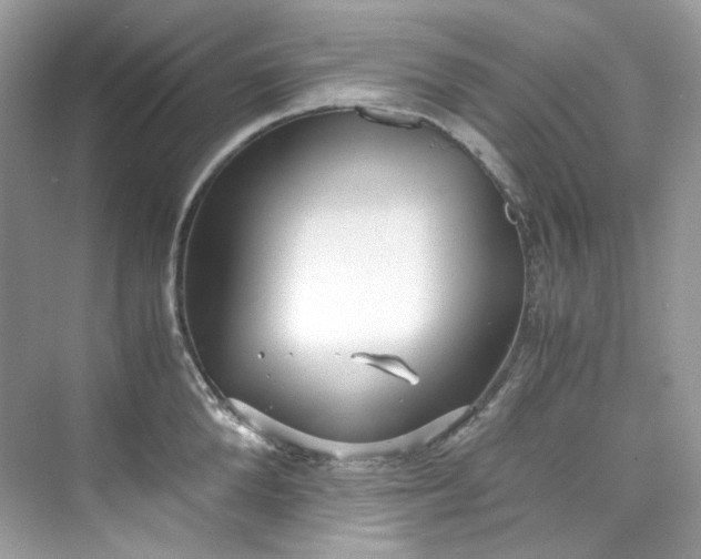 X0000075840904200609291434