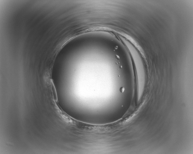 X0000075840905200609291434