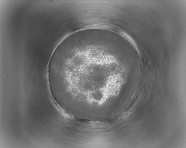 X0000075840907200609291434