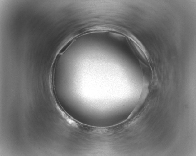 X0000075840909200609291434