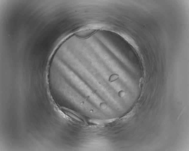 X0000075840912200609291434