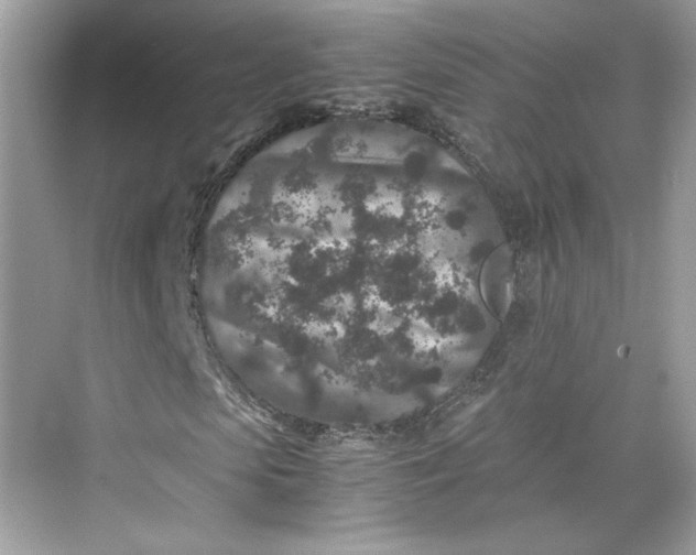 X0000075840913200609291434