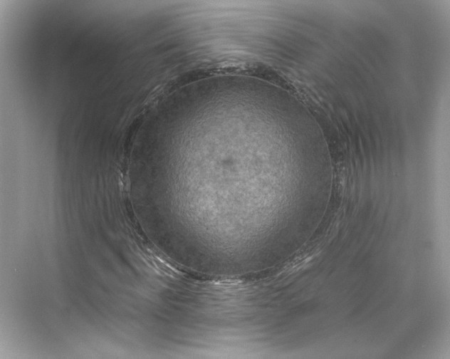 X0000075840916200609291434