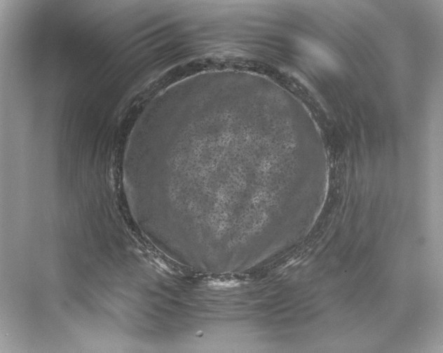 X0000075840919200609291434