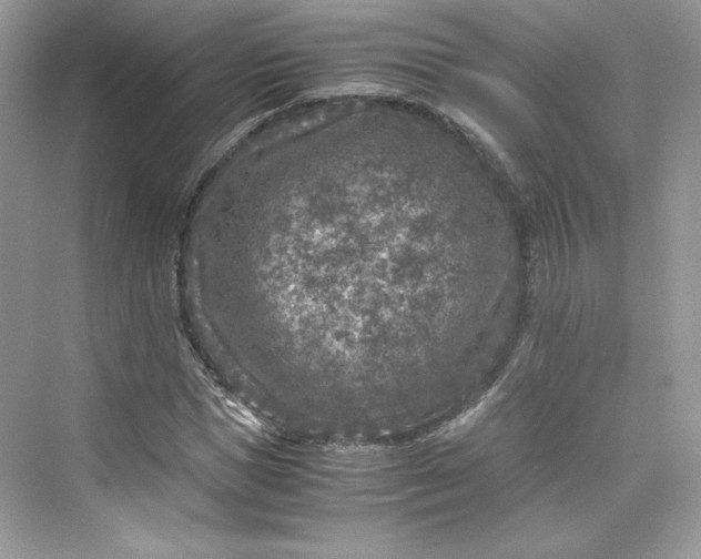 X0000075840921200609291434