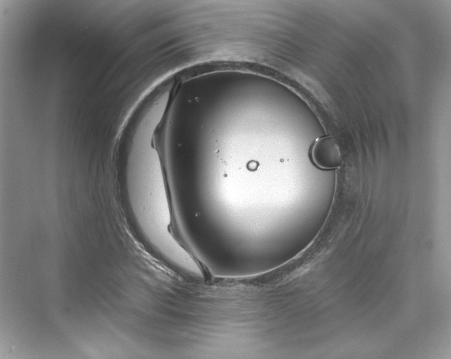 X0000075840926200609291434