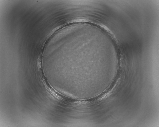 X0000075840929200609291434