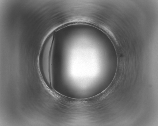 X0000075840936200609291434