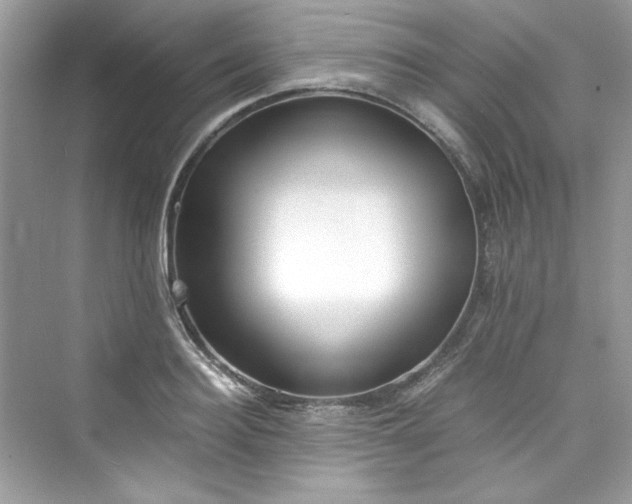 X0000075840940200609291434