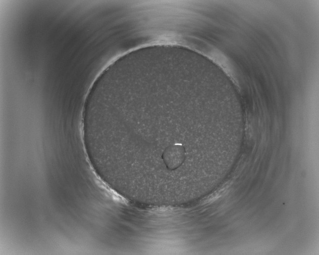 X0000075840950200609291434