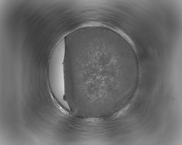 X0000075840953200609291434