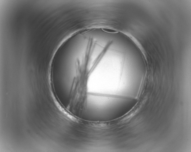 X0000075840957200609291434