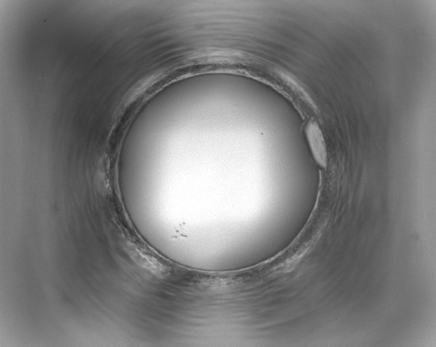 X0000075840970200609291433