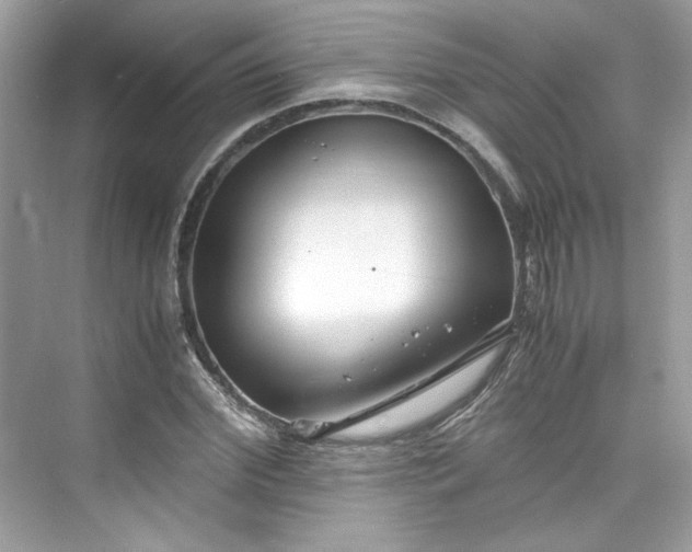 X0000075840972200609291433