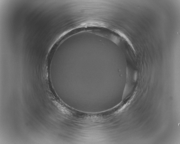 X0000075840973200609291433