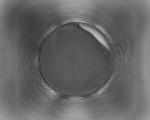 X0000075840977200609291433