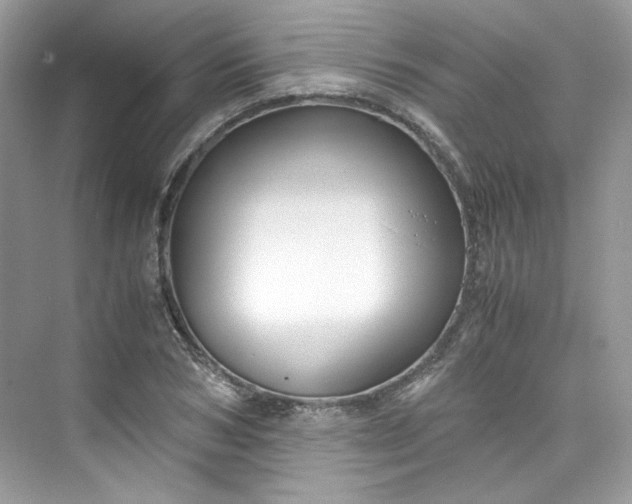 X0000075840978200609291433