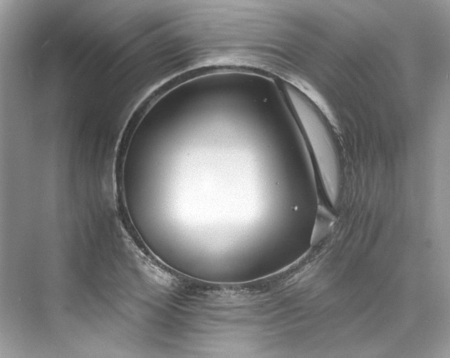 X0000075840980200609291433