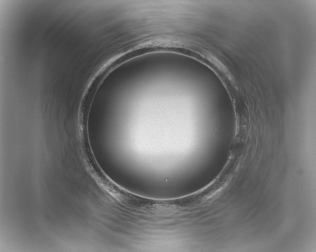 X0000075840981200609291433