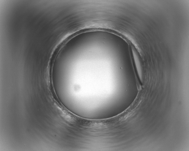 X0000075840982200609291433