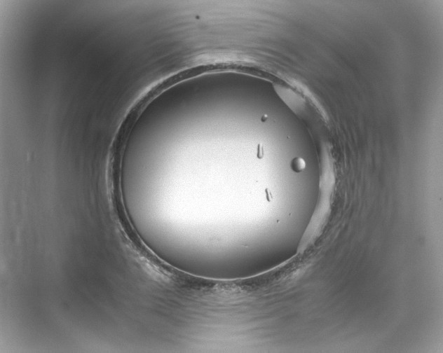 X0000075840983200609291433