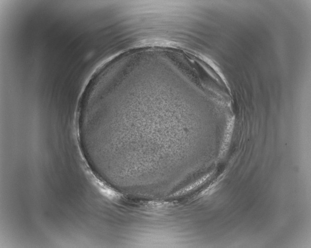 X0000075840987200609291433