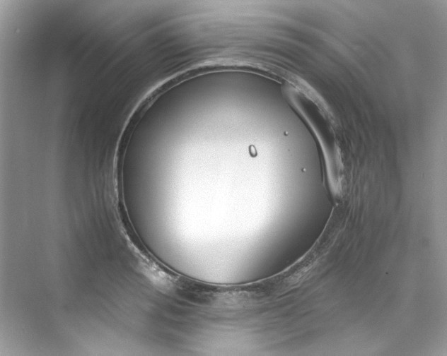 X0000075840988200609291433