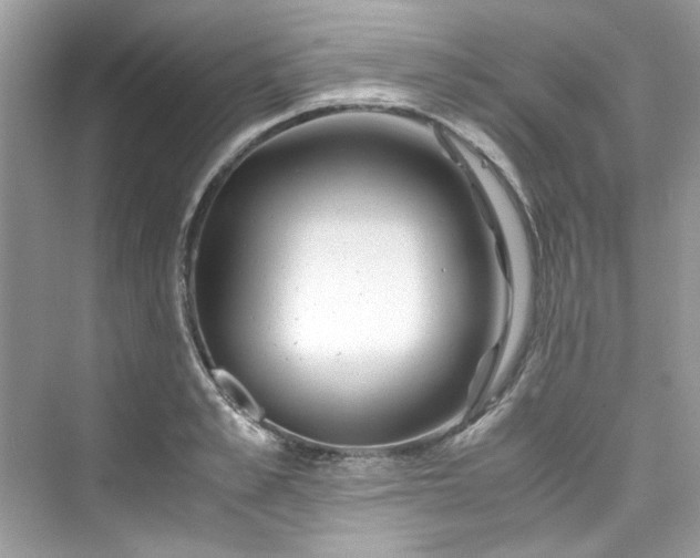 X0000075840989200609291433